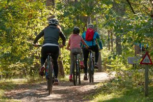 Camping Du Parc De La Fontaine : Bicycles G4d137d2d0 1920