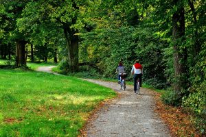 Camping Du Parc De La Fontaine : To Go Biking Gd627b4ef8 1920